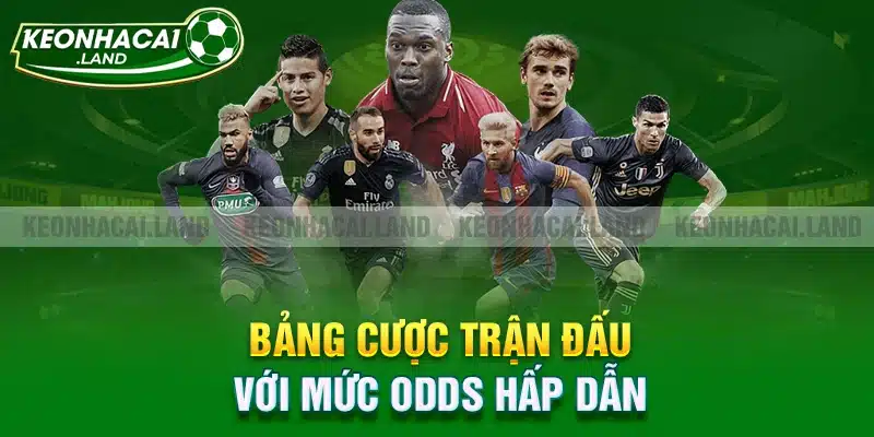 Bảng cược trận đấu với mức Odds hấp dẫn