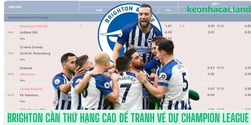 Brighton cần thứ hạng cao để tranh vé dự Champion League