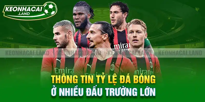 Thông tin tỷ lệ đá banh ở nhiều đấu trường lớn