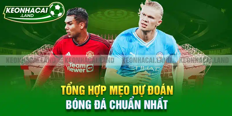 Tổng hợp mẹo dự đoán bóng đá chuẩn nhất