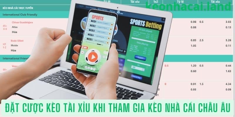 Hình thức đặt cược kèo tài xỉu khi tham gia kèo nhà cái Châu Âu