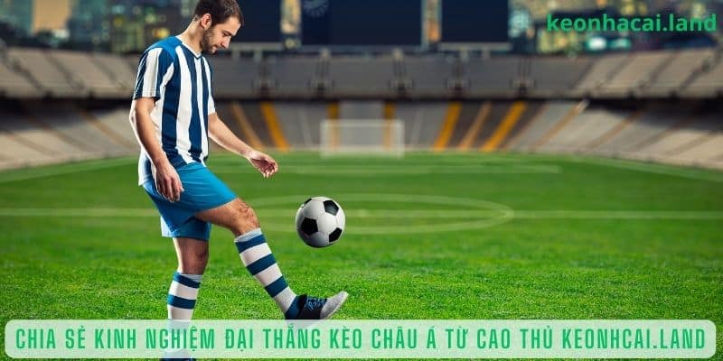 Chia sẻ kinh nghiệm đại thắng kèo châu Á từ cao thủ Kèo Nhà Cái