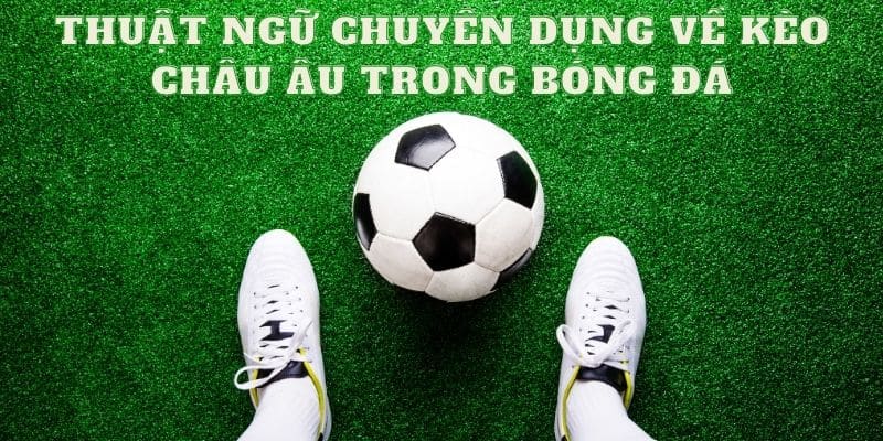 Thuật ngữ chuyên dụng về kèo châu Âu trong bóng đá