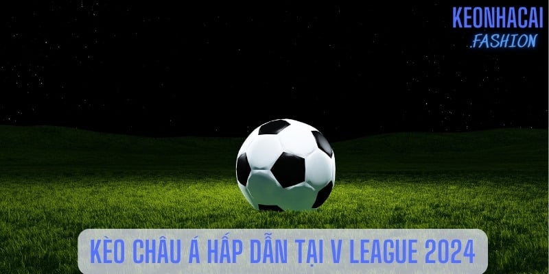 3 loại kèo V League 2024 siêu hot được bet thủ săn đón