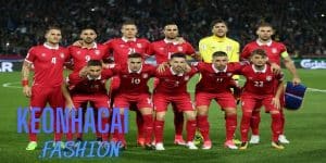 Đội tuyển Serbia Euro 2024