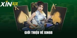 Giới thiệu về XIN88